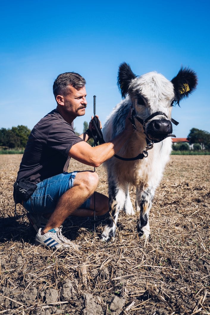 Joar Berge – Cow Whisperer