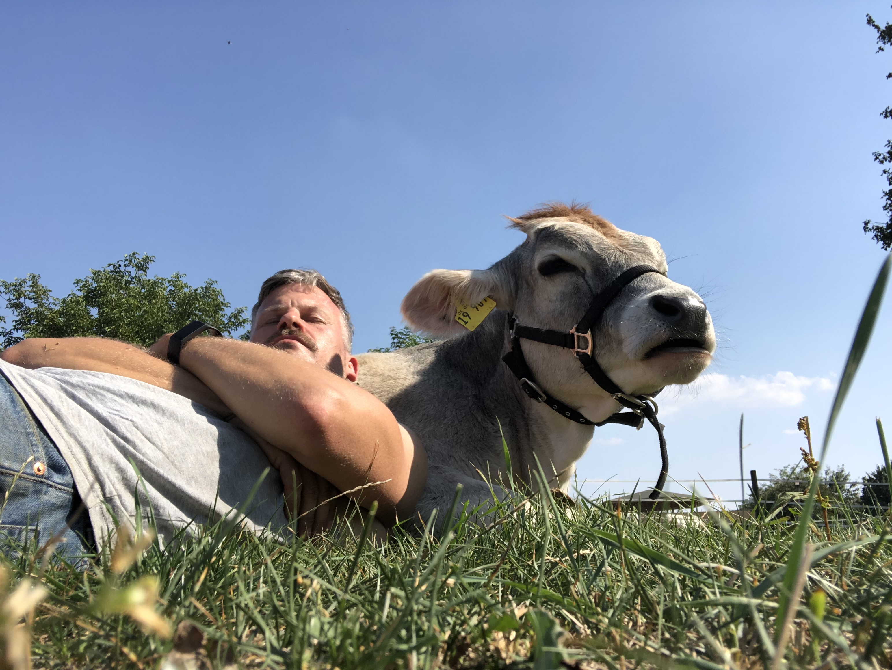 Joar Berge – Cow Whisperer